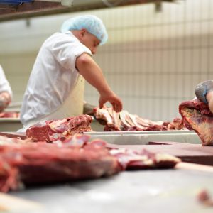 Central – MN Meat Processing Business