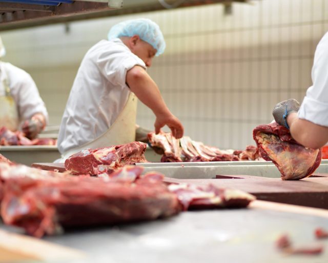Central – MN Meat Processing Business